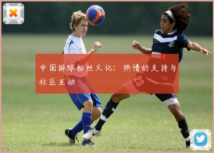 中国排球粉丝文化:热情的支持与社区互动