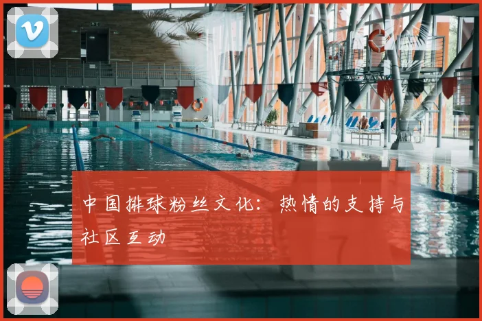 中国排球粉丝文化:热情的支持与社区互动