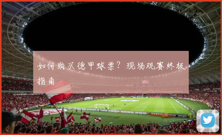 如何购买德甲球票?现场观赛终极指南